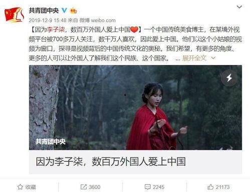 网红李子柒作文素材,李子柒的乡村生活画卷