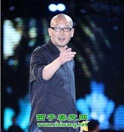 管虎资料照片,光影交织的艺术探索者