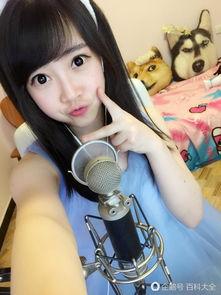 熊猫女主播好好ID号,熊猫女主播“好好”ID号背后的传奇故事