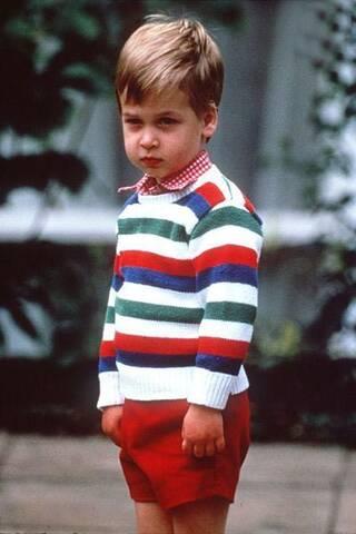 威廉王子图片,王室风采与时代变迁的见证者