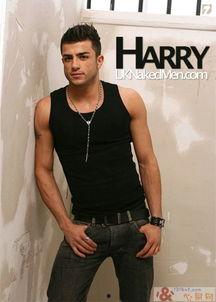 是gay的男明星,揭秘那些出柜的男明星