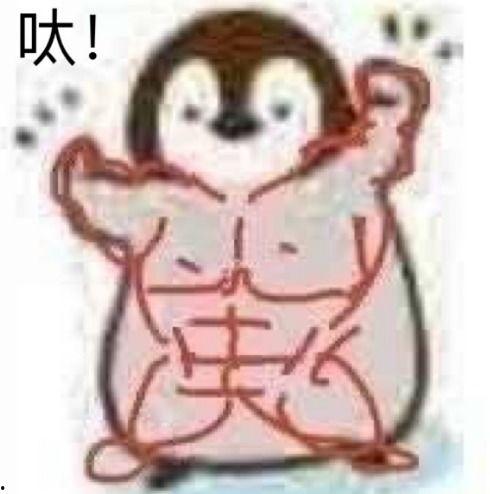 弹琴的大姐表情包,弹琴大姐表情包里的温馨瞬间